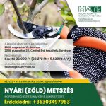 Nyári (zöld) metszés