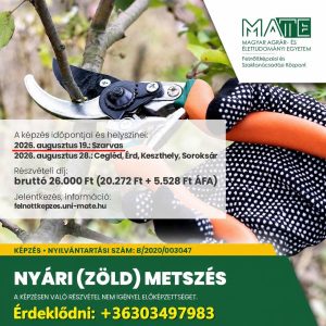 Nyári (zöld) metszés